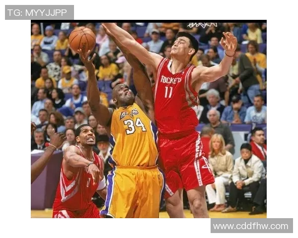 姚明全图：探索这位篮球巨星的辉煌历程与影响力的全景展示