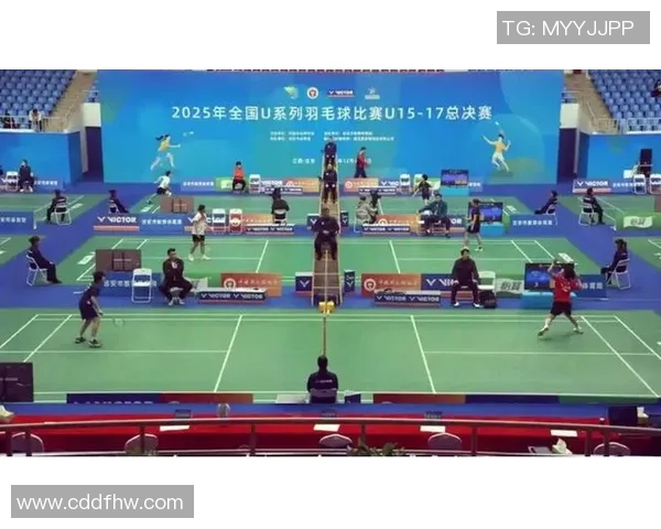 重庆羽毛球队战术实力强劲荣登全国羽毛球战术排行榜第四名