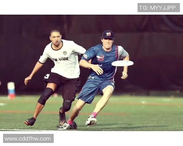 飞盘新手必读：从基础到进阶的全面技巧与战术解析